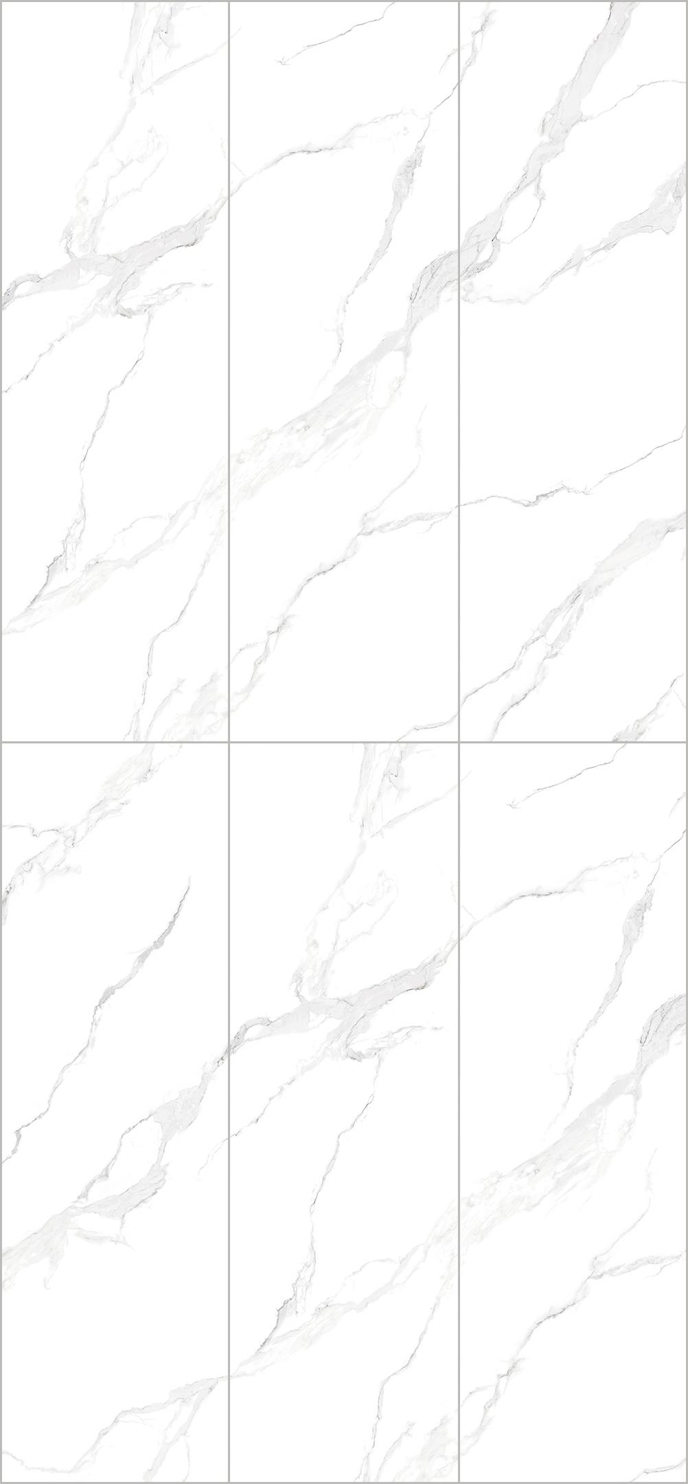皇家鱼肚白-DB